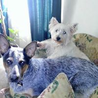 Judy Moen Photo 11