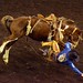 Dustin Thompson Photo 15