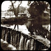 Carl Hope Photo 17