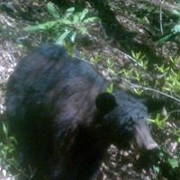 Linda Dunaway Photo 11