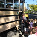 Loretta Wyatt Photo 13