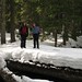 Deborah Snow Photo 29