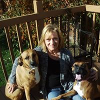 Cindy Briggs Photo 10