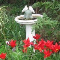 Kathryn Cross Photo 28