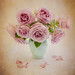 Colleen Farrell Photo 31
