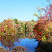 Lloyd Lowe Photo 37