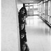 Liz Vogel Photo 25