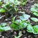 Juan Bean Photo 17