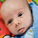 Roland Archer Photo 11