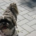 Carole Humphrey Photo 22