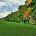 Clarence Summers Photo 4