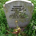 Joyce Bevan Photo 20