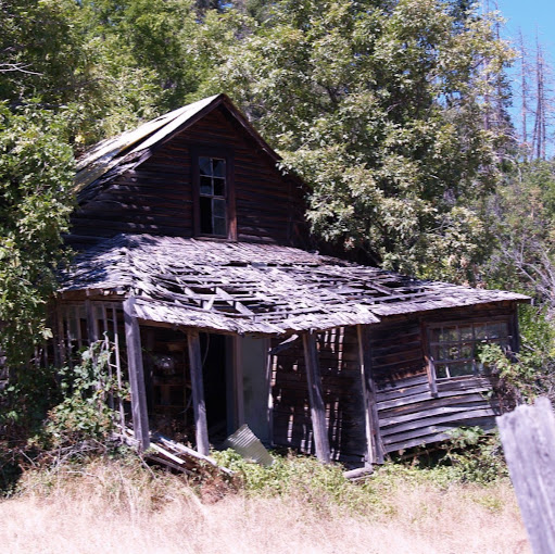 Vickie Edwards Photo 35