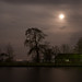 Robert Wieck Photo 18