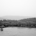 Trung Vo Photo 20