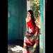 Tran Bao Photo 28