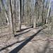 Paul Woods Photo 21