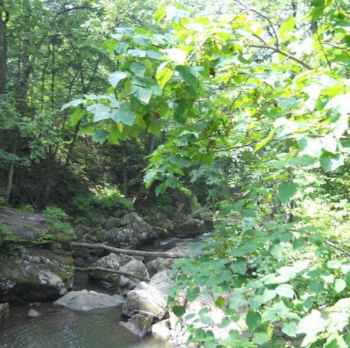 Kimberly Christian Photo 11