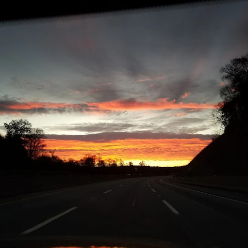Joann Walker Photo 25
