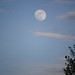 Debra Hayden Photo 31