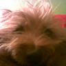 Bridget Miller Photo 33