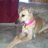 Amber Hageman Photo 4