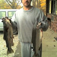 Steven Colyer Photo 22