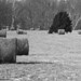 Jeffrey Hay Photo 15
