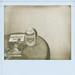 Patrick Tobin Photo 9