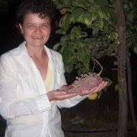 Katherine Sullivan Photo 41