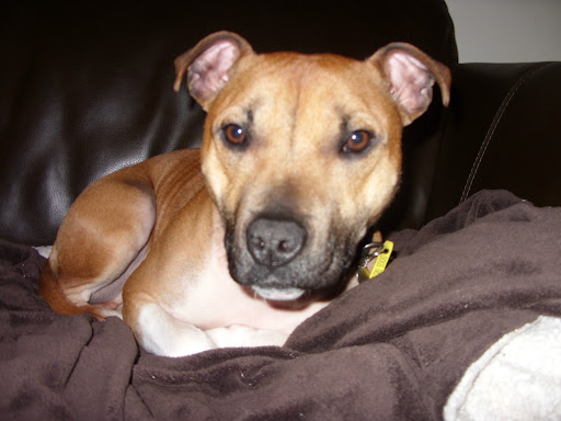 Deb Jones Photo 1