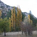 Debbie Oaks Photo 14