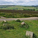 Martin Haworth Photo 8