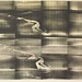 Lawrence Grossman Photo 21