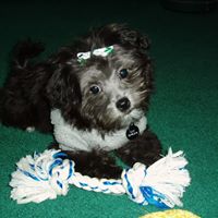 Jodie Wagner Photo 6