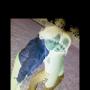 Terri Stanley Photo 17