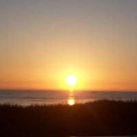 Linda Allred Photo 24