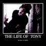 Tony Barton Photo 10
