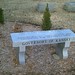 John Pierce Photo 25