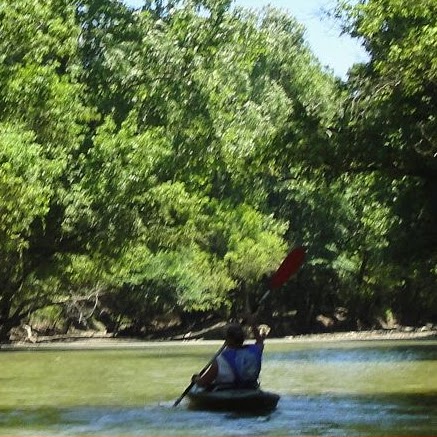 Diana Gibbs Photo 16