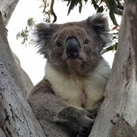 Catherine Green Photo 30