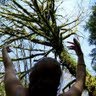 Lisa Hubert Photo 8