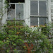 Cornelius Bush Photo 19