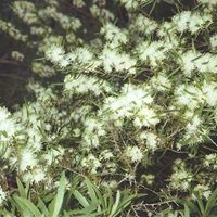 Rod Ward Photo 25