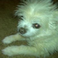 Leslie Blevins Photo 36