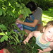 Julie Downer Photo 9