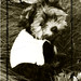 Jerry Miles Photo 14