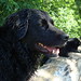 Jessie Bear Photo 14
