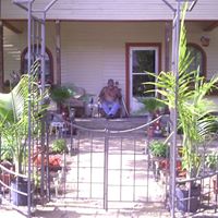 Debbie Steward Photo 19