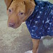 Debra Griggs Photo 21